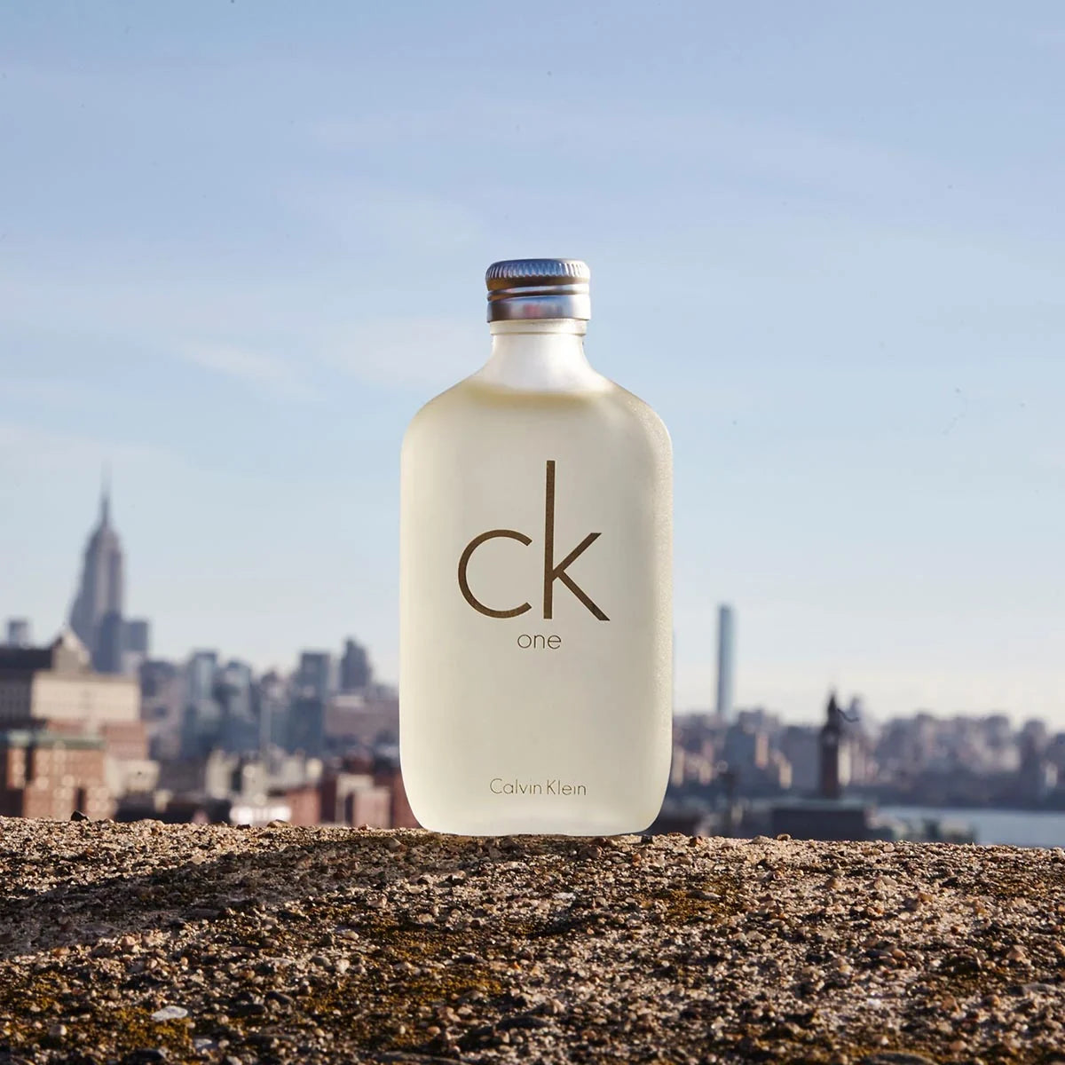 CK One EDT Spray 100ML