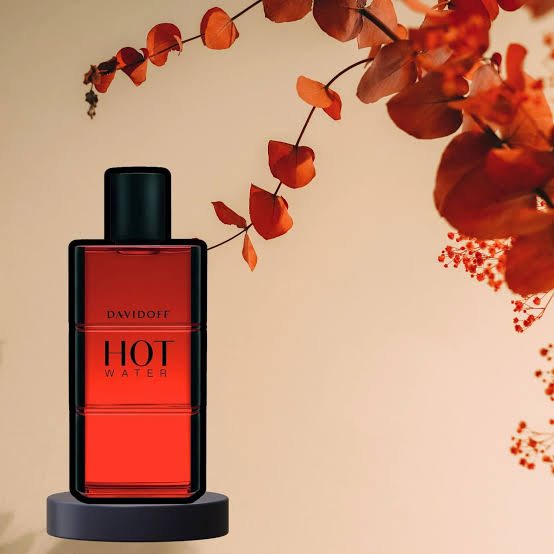 Davidoff Hot Water EDT 110ML (M)